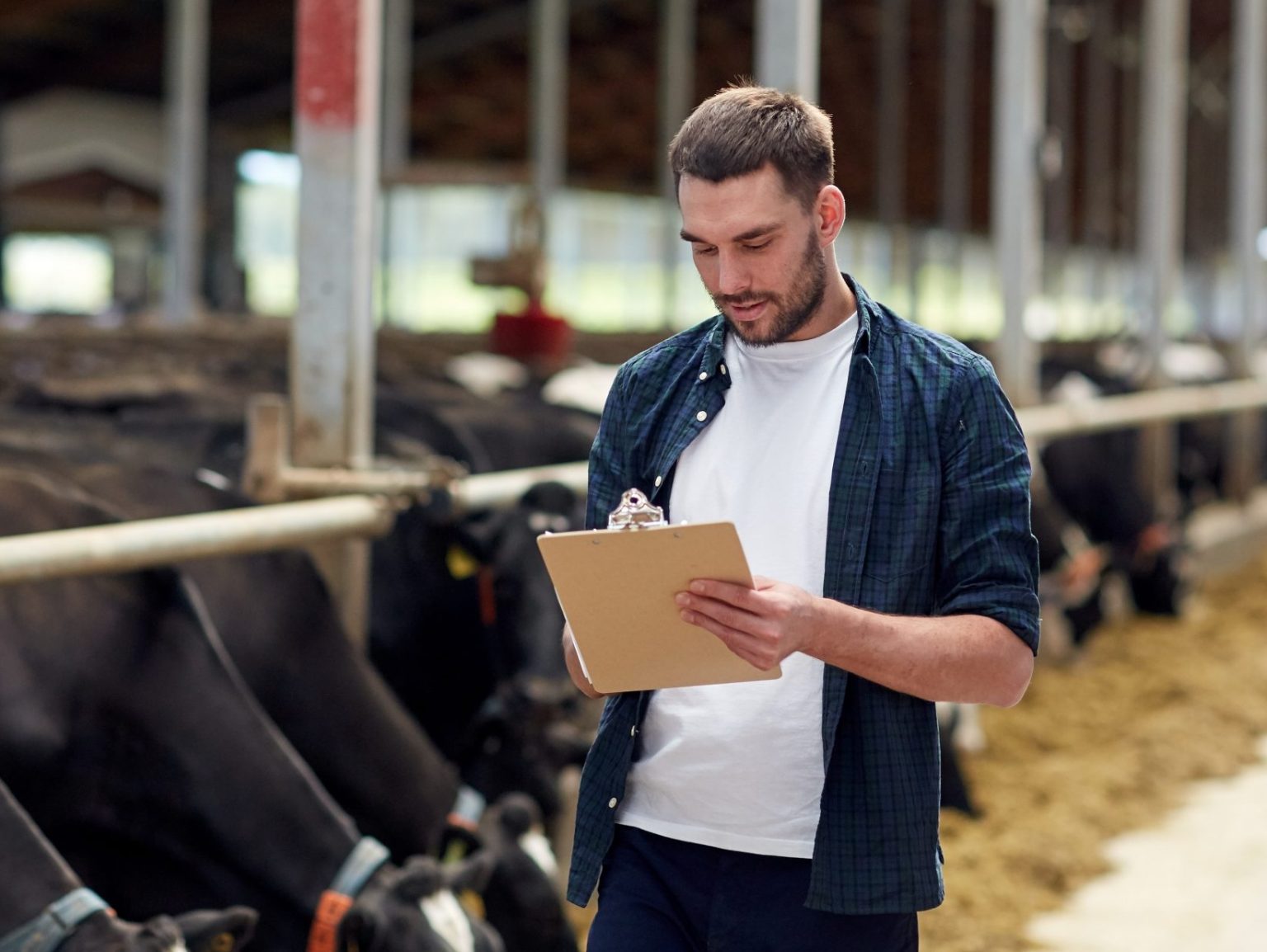 ‍🌾 Working with APS Agri placement US H2a visa can work in AG.